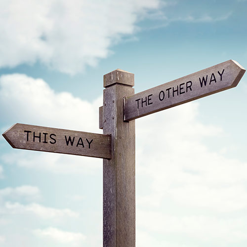 Tech Omnivore or Tech Carnivore: which one does your digital transformation really need?