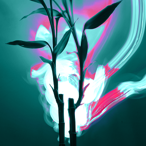 Evergreen Investment: Maximise the value of your AI adoption