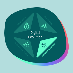 Evergreen Investment: Maximise the value of your AI adoption